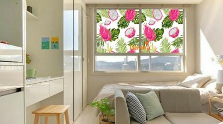 Lần Đầu Tiên Trái Thanh Long Có Trong Rèm Cửa Tại Davina