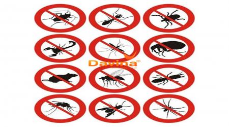 TOP 5 CÔN TRÙNG GÂY NGUY HIỂM ĐẾN SỨC KHỎE CON NGƯỜI VÀ CÁCH PHÒNG TRÁNH l Davina Part 9